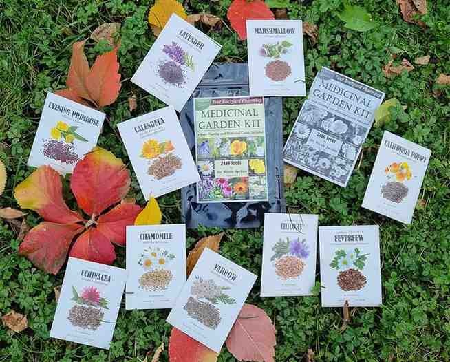 Medicinal Garden Kit contents laid out — all 10 seed packets including Lavender, Marshmallow, California Poppy, Chamomile, Echinacea, Yarrow, Calendula, Chicory, Feverfew and Evening Primrose