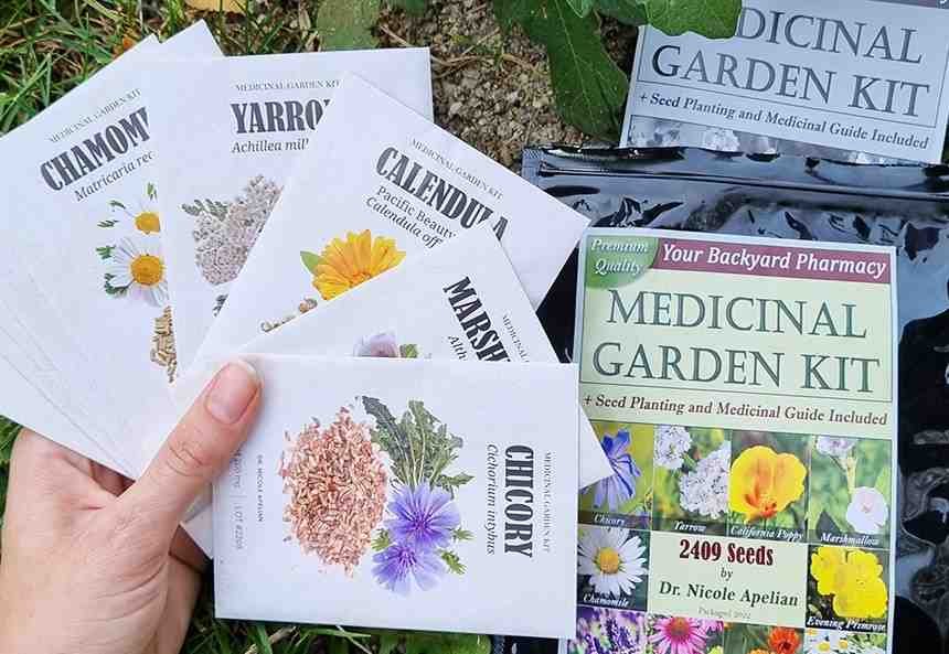 Medicinal Garden Kit seed packets being held — Chicory, Yarrow, Calendula, Chamomile and Marshmallow visible